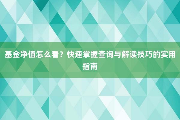 基金净值怎么看？快速掌握查询与解读技巧的实用指南