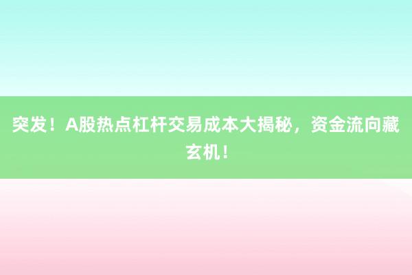 突发！A股热点杠杆交易成本大揭秘，资金流向藏玄机！