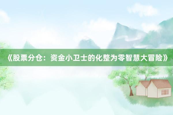 《股票分仓：资金小卫士的化整为零智慧大冒险》